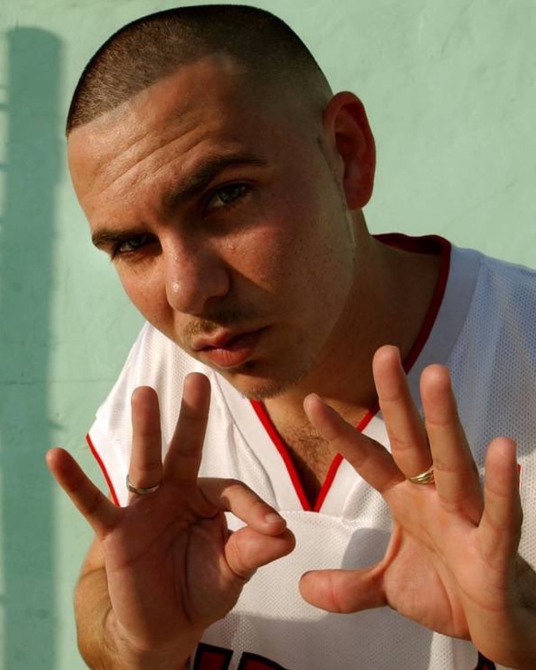 Heading to Pitbull in Marley Park? Here's what you need to know